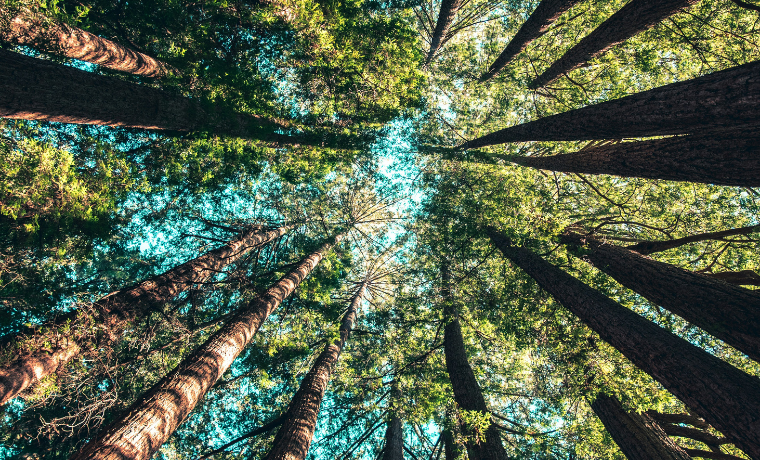 ESG data extraction with AI: from PDFs to structured data